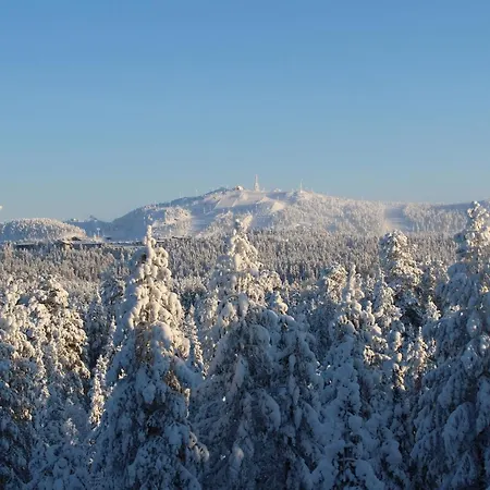 Вилла Onnela 2 - Рука