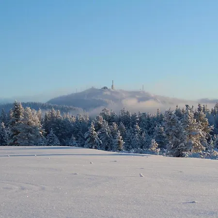 Villa Onnela 2 - Ruka